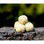 KULKI WHITE STRAWBERRY WOREK 5Kg 20mm